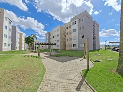 Apartamento com 3 Quartos à venda, 63m² no Capela Velha, Araucária