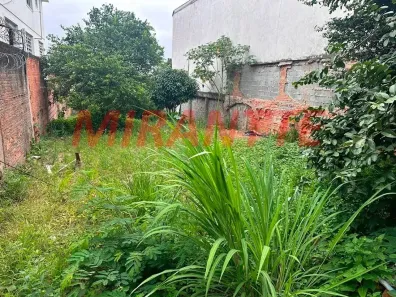 Lote/Terreno à venda, 250m² no Vila Sabrina, São Paulo