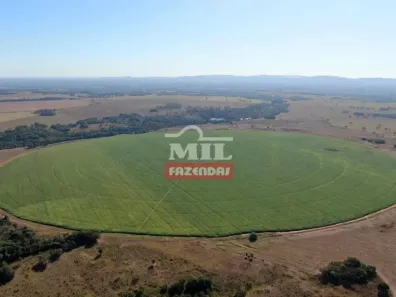 Fazenda/Sítio à venda, 500m² no , Matrinchã