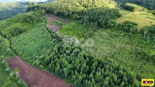 Lote/Terreno à venda, 5000m² no , Picada Café