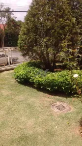 Casa de Condomínio com 3 Quartos à venda, 185m² no Caminhos de San Conrado (Sousas), Campinas