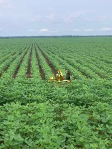 Fazenda/Sítio com 1 Quarto à venda, 19456800m² no Centro, Araraquara