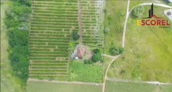 Fazenda/Sítio com 2 Quartos à venda, 42000m² no , Alhandra