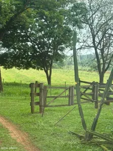 com 3 Quartos à venda, 49980m² no RURAL, Martinópolis