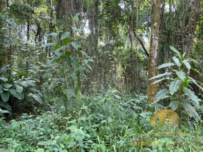 Lote/Terreno à venda, 1025m² no Mato Dentro, Mairiporã