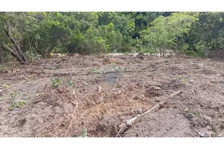 Lote/Terreno à venda, 250m² no Santo Agostinho, Cabo de Santo Agostinho