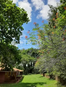 Fazenda/Sítio com 23 Quartos à venda, 4000m² no Ribeirão Claro, Ribeirão Claro