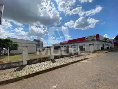 Casa com 1 Quarto para alugar, 1400m² no Marta Helena, Uberlândia