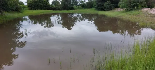 Fazenda/Sítio com 3 Quartos à venda, 60m² no , Britânia