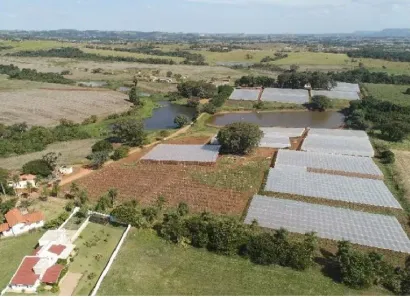 Fazenda/Sítio com 7 Quartos à venda, 840268m² no Area Rural de Porangaba, Porangaba