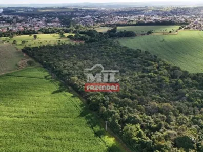 Fazenda/Sítio à venda, 1m² no , Bela Vista de Goiás