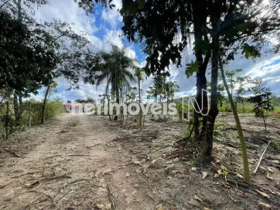 Fazenda/Sítio com 2 Quartos à venda, 10000m² no , Florestal