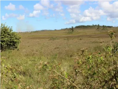 Lote/Terreno à venda, 48000m² no Monte Gordo (Monte Gordo), Camaçari