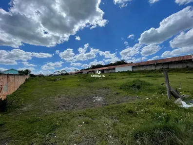 Lote/Terreno à venda, 6050m² no Campo Largo da Roseira, São José dos Pinhais