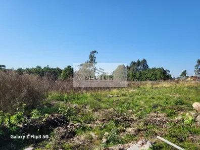 Lote/Terreno à venda, 11000m² no Campo Largo da Roseira, São José dos Pinhais