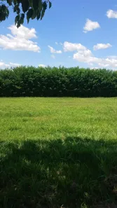 Lote/Terreno à venda, 980m² no Terras da Barra, Mendonça