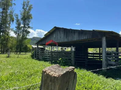 Fazenda/Sítio com 1 Quarto à venda, 50000m² no Padilha, Taquara
