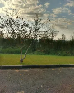 Lote/Terreno à venda, 1597m² no Loteamento Champs Privés, Campo Limpo Paulista