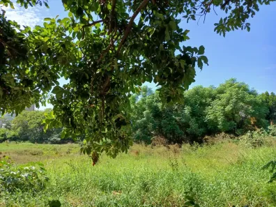 à venda, 18000m² no Vila Santa Terezinha, Várzea Paulista