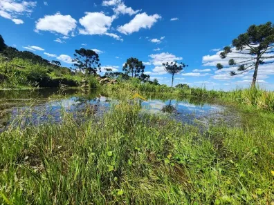 Fazenda/Sítio à venda, 1000000m² no , Rio Rufino