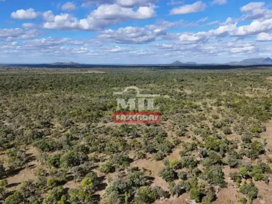 Fazenda/Sítio à venda, 500m² no , Arraias