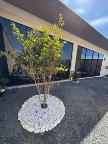 Casa com 1 Quarto à venda, 60m² no , Brasília