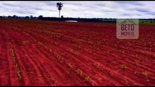Fazenda/Sítio à venda, 58080000m² no Vila Mariana, Ribeirão Preto