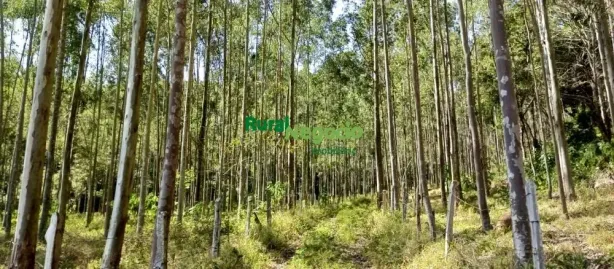 Fazenda/Sítio à venda, 359190000m² no Centro, Natividade da Serra