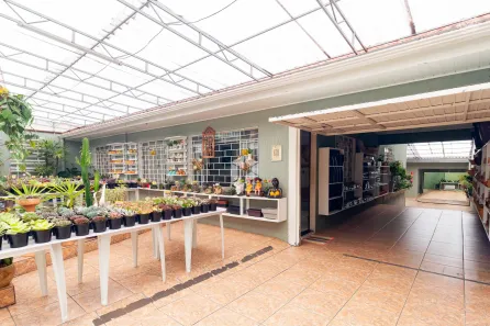 Imóvel Comercial com 3 Quartos à venda, 120m² no Parque da Fonte, São José dos Pinhais