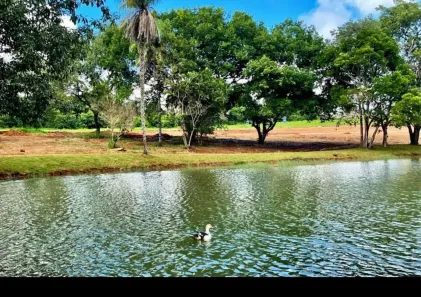 Lote/Terreno à venda, 248m² no Rosa de Leiria Condomínio Horizontal, Goianira