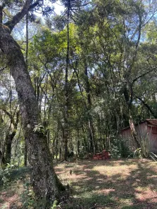 Fazenda/Sítio com 2 Quartos à venda, 22000m² no Trigolandia, Piên