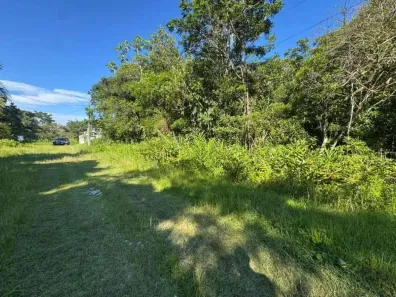 Lote/Terreno à venda, 363m² no Gaivota (Interior), Itanhaém