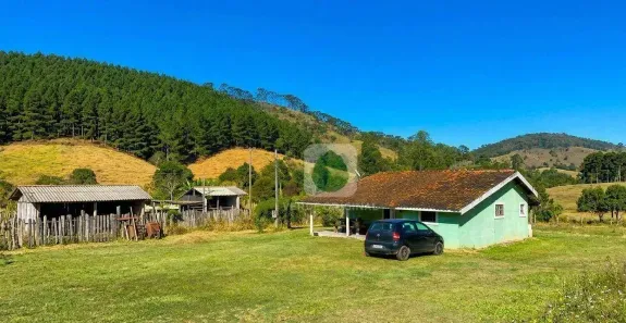 Fazenda/Sítio com 4 Quartos à venda, 200m² no Zona Rural, Santo Antônio do Pinhal