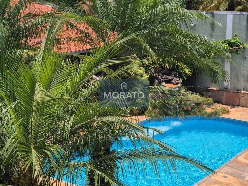 Foto 50