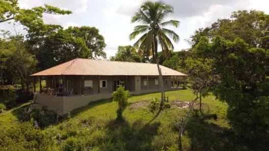 Fazenda/Sítio à venda, 48000m² no , Bujaru