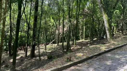 Lote/Terreno à venda, 3239m² no Linha 40, Caxias do Sul