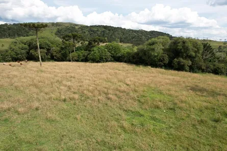 Lote/Terreno à venda, 20000m² no , Urupema