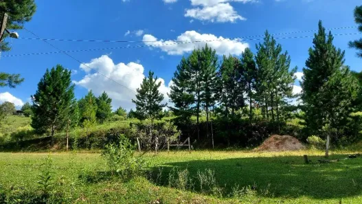 Fazenda/Sítio com 1 Quarto à venda, 51425m² no Vila David Antônio, Campo Largo