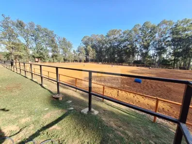 Fazenda/Sítio à venda, 800m² no Avecuia, Porto Feliz