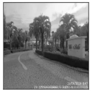 Lote/Terreno à venda, 2000m² no Serrano, Caxias do Sul
