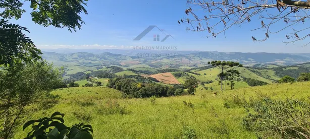 Lote/Terreno à venda, 20000m² no Itapeva, Itapeva