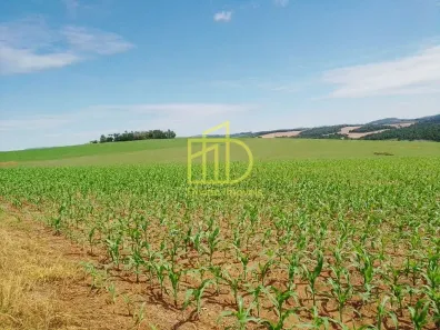 Fazenda/Sítio à venda, 10m² no , Itaporanga