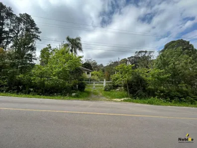 Fazenda/Sítio à venda, 20000m² no , Flores da Cunha