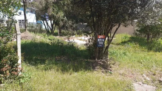 Lote/Terreno à venda, 335m² no Lucas Araújo, Passo Fundo