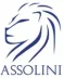 Miniatura da foto de Assolini Negócios Imobiliários - Ltda