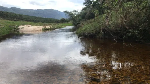 Fazenda/Sítio com 1 Quarto à venda, 10m² no , Itambé do Mato Dentro