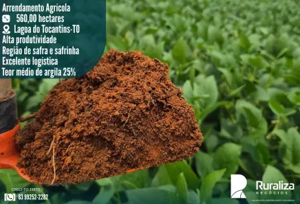 Fazenda/Sítio para alugar, 560m² no , Lagoa do Tocantins