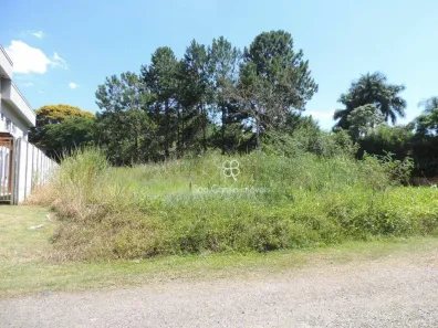 Lote/Terreno à venda, 513m² no Jardim Colonial, Carapicuíba