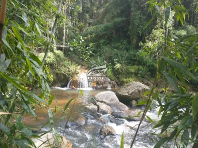 Lote/Terreno à venda, 64525m² no , Rancho Queimado