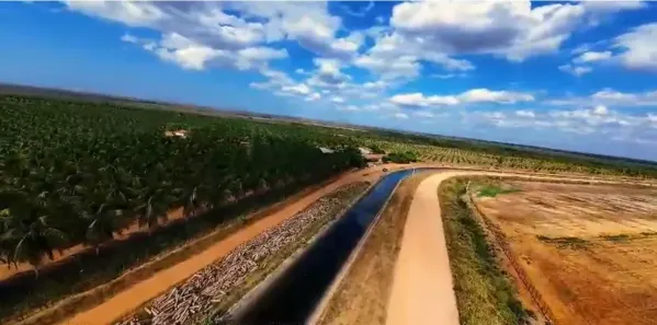Fazenda/Sítio com 1 Quarto à venda, 1780000m² no , Alto do Rodrigues